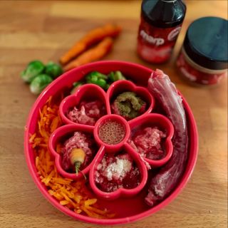 Barf a spomaľovacie/senzorické misky od @sodapupdogtoys proste idú dokopy. 🤝🍲🦴 Zoja si kŕmenie užíva z krásnej misky...