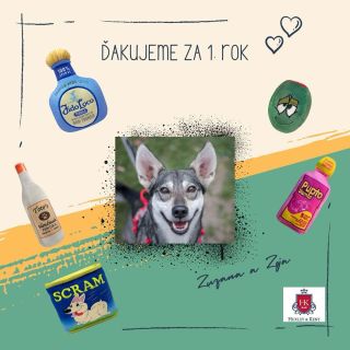 Už sú to 4 roky, čo mi táto ušatá láska zvrtla život 🥹 a vďaka nej vznikol aj náš e-shop, ktorý mal pre pár dňami rok od...