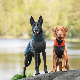MIDNIGT a HABANERO sú nové farby obľúbenej mikiny JumppaPomppa. 🍂 Aj týmto farebným prevedeniam ostala vylepšená spodná...