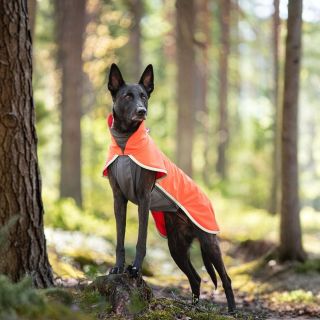 Sportti Pomppa - nepremokavý softshellový kabátik pre aktívnych psov. 🌦️🐶🍂 Od skorej jesene do neskorej jari ochráni...